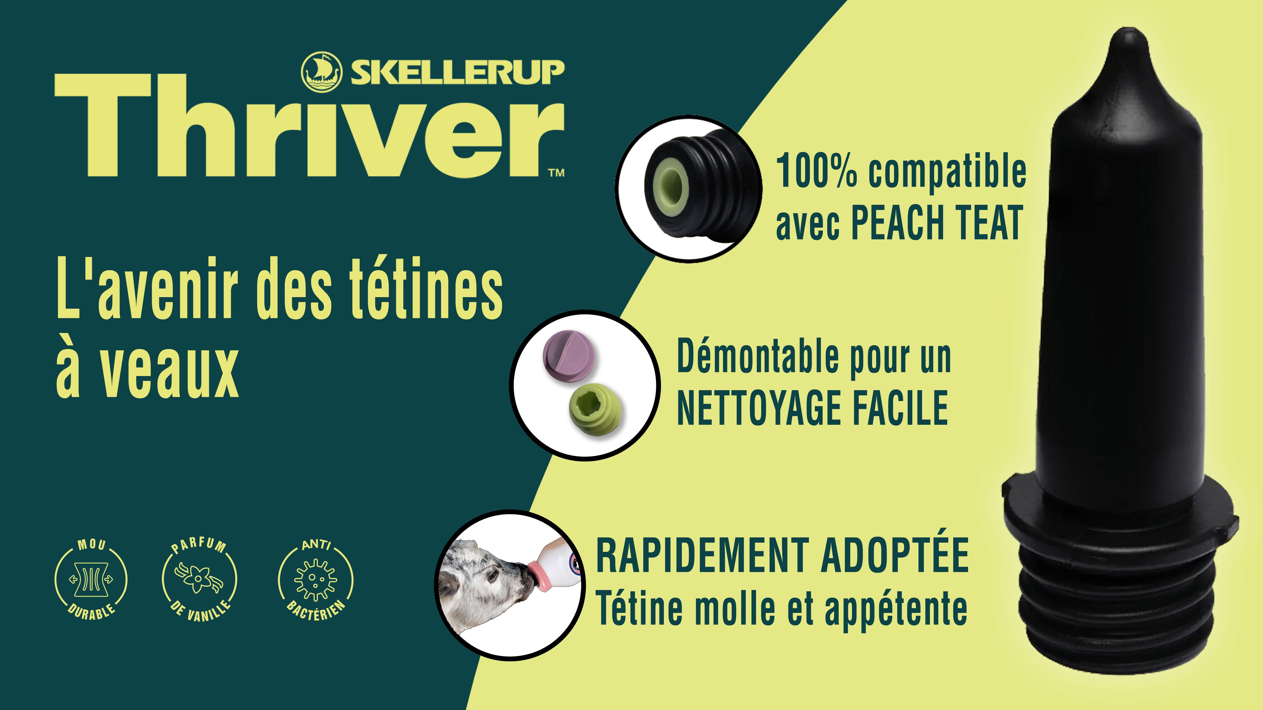 Banniere THRIVER web FR Banniere THRIVER web FR